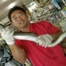 대물장어 이미지