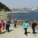 용호1동 체육공원 이미지