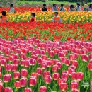 낙동강관리본부 화명생태공원 10 이미지