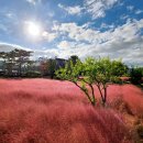 카페 무 이미지