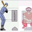 스트라익야구존