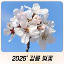 골목시장~새벽시장 횡단보도 이미지