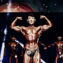 머슬팩토리 이미지