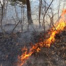 홍성서부중학교 이미지