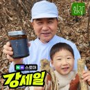 대한전통건강관리 | 목 관리 환절기 칼칼함 예방 따뜻한 전통 차 영양 보충을 위한 힘가네 배 도라지청 후기