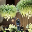 스카이컨벤션웨딩(주) | 목포 스카이웨딩컨벤션 하객후기. 뷔페,주차 솔직 후기