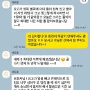 찰리애견미용샵 | 양재동 애견미용 아토몽｜귀툭튀컷 너무 잘하는 애견미용샵 내돈내산 후기 🐶