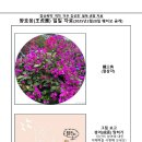 외조카의 등교 문제(왕호응일일점사20250220) 이미지