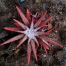 우직농장 이미지