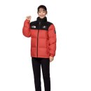 나도코리아 이미지