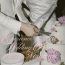 씨스페이스중구남산점 | 스페이스 남산 벚꽃 서울 스몰 웨딩 후기 | 170명 파티누보 케이터링으로 완벽하게