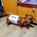 프라임덴탈아이 이미지