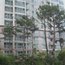 팰리스파크 이미지