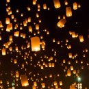 강아지 나라 이미지