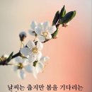 석지 | 惜指失掌(석지실장)