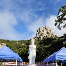 금산마을 | 남해 금산과 다랭이마을 다녀온 후기