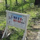 안강 어린이집 | 경주 안강 풍산금속 벚꽃 길 다녀옴!!