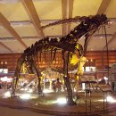 기린03-1 이미지