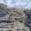 [동구샘터] 봄, 여름, 가을, 겨울 머리 모양 행복 더하기 | 제주 | 얼떨결 급행 제주 아주 성공적 ✨ 제주여행 추천 코스