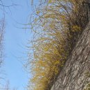 인천대공원(식물원 뒤) 이미지