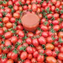 국희농장 이미지