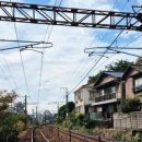 유신산업 | 하기시 여행(야마구치, 히로시마 근교, 히로시마 패스, 신야마구치역, 메이지 유신, 하기 여행 후기)