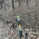 구름이 쉬는 나무 이미지