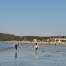 나그네길 이미지