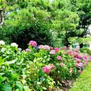 작은막공원 이미지