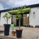 봉곡동218 이미지