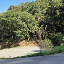 동남농장 이미지