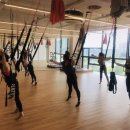 (주) 청담 JU YOGA&GYM 이미지