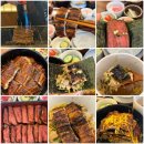 사구금 | 대구 장어 덮밥 들안길 맛집 데이트 금학장 히츠마부시 스테끼동 후기