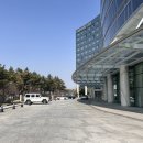 글로벌 | 하얏트 리젠시 인천 글로벌리스트 클럽라운지 후기ㅣ조식 디너 이브닝칵테일 에프터눈티