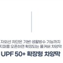 퀴드 이미지