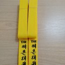 THE 가온태권도장 이미지