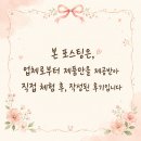 크림 - 기장군 일광로 80 | 다이소크림 자민경 크레마 카라콜 오리지날 크림 사용 후기