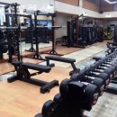 사직스포렉스 | 동래구 사직동 헬스장 사직스포렉스 헬스장정보요약