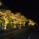 수목원펜션 | 가평 아침고요수목원 바베큐 펜션 보타니칼 101호 내돈내산 후기