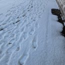 선거관리위원회 | 선거관리위원회 행정사무보조직(회계안내요원) 면접 후기, 질문