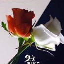 기분좋은날 Daum카페