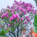 대한민국고엽제전우회 이미지