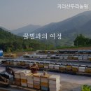 산청군 귀농귀촌연합회 선진지 견학 안동 예선아빠농장