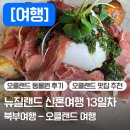 오클랜드 여행지 추천 | 오클랜드 맛집 Amano 후기 | 오클랜드 동물원 | 키위새 특징 | 교통카드 구매...