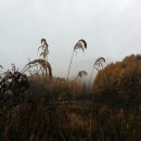 하늘바람꽃농원 이미지