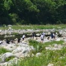 미리내캠프 이미지