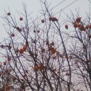 운암농장 이미지