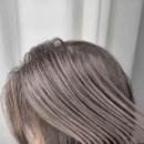살롱 드 그레이(GRAY)