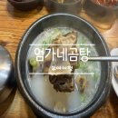 엄가네곰탕 | [부여 여행] 전통방식으로 정성 가득 끓이는 엄가네곰탕 해장은 실패~