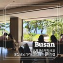 부산 모모스커피 비교! 본점 / 로스터리&amp;커피바 / 마린시티점 시그니처 메뉴